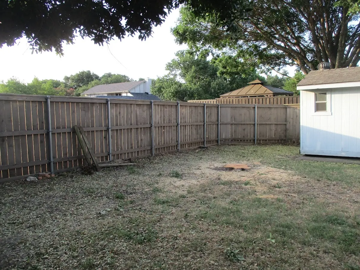 Cleared yard after professional tree removal in Webster